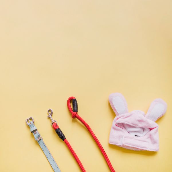 Collar & leash